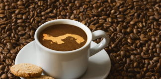 Why Gesha Coffee Is Considered the Gold Standard in Specialty Coffee Gesha Coffee